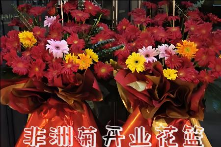 宝鸡扶风县开业花篮